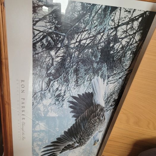 Pictures photos  Frames large X3