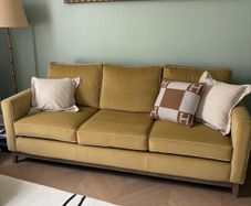 Velvet couch