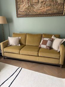 Velvet couch