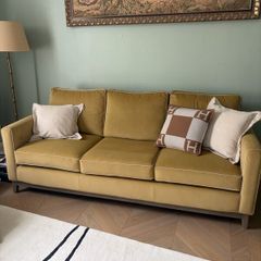 Velvet couch