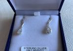 Sterling Silver  Earrings