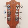 Brand new Guild M-260E Image 3