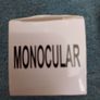 Monocular Image 2