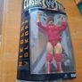 WWE wrestlers Image 3