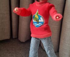 Sindy Doll & Clothes Bundle