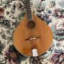 Irish Bouzouki Image 6