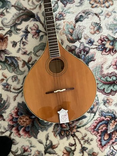 Irish Bouzouki