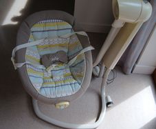 Joie Serina Swivel Swing
