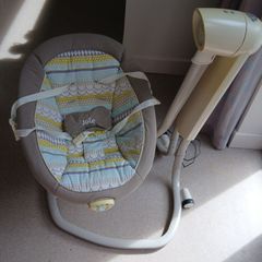 Joie Serina Swivel Swing