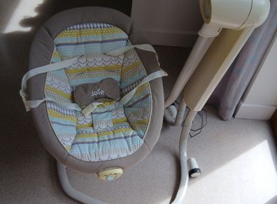 Joie Serina Swivel Swing