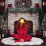 Christmas photography backdrop Image 6