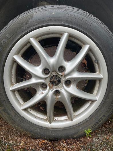 Alloys of cayenne 955