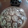 Glass Flower Frogs Image 10