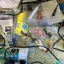 Fishtank, light and accessories Image 8