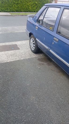 Peugeot 309