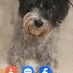 linda.byrne.7547