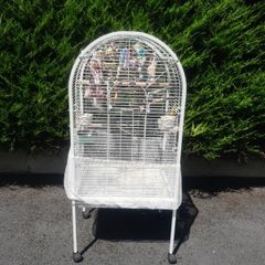 budgie and cage