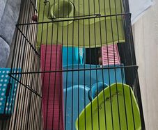 Hanster cage