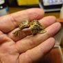 Rare Find. Vintage Gold Tone Brooch Image 3