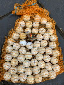 Golf Balls and Golf Accessories