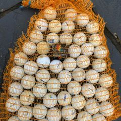 Golf Balls and Golf Accessories