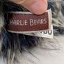 Charlie bears byte Image 4