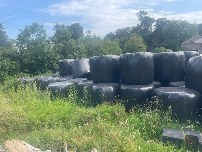 silage