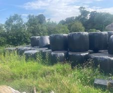 silage