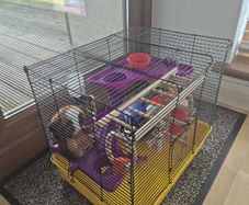 Hamster cage
