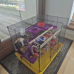 Hamster cage