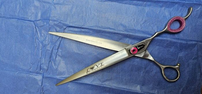 dog grooming scissors