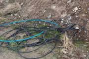Hose