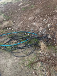 Hose