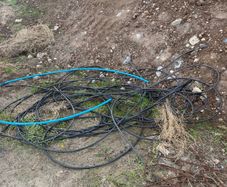 Hose