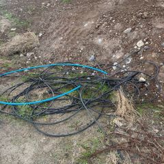 Hose