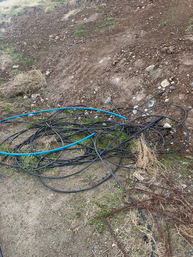 Hose