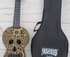 Ukulele