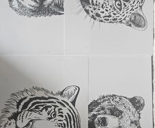 Animal Place mats