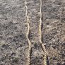 Hay Bogie Ropes Image 4