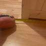 single bunk beds Image 4