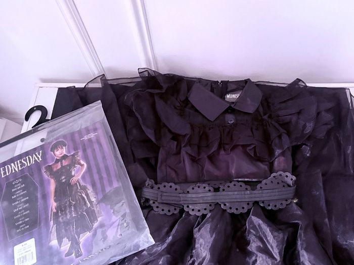 Girls Costumes Wicked and Wednesday