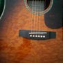 Takamine Image 3