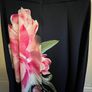Debue Fit & Flare Dress Image 2