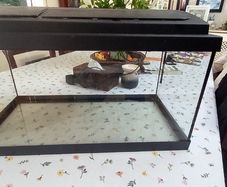 Aquarium - fish tank and accessories