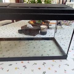 Aquarium - fish tank and accessories