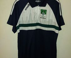 naomh alee gaa polo