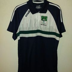 naomh alee gaa polo