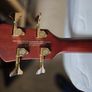Spector Legend Neck-thru Image 9