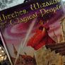 Witches, Wizards and Magical People ! Hardcover ! 2001 by Peter Haddock ! Image 2