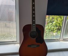 Ibanez SGT120E